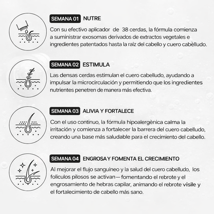 Lilyeve Growturn™ | Activa Crecimiento + Fortalece Raíz + Más Densidad