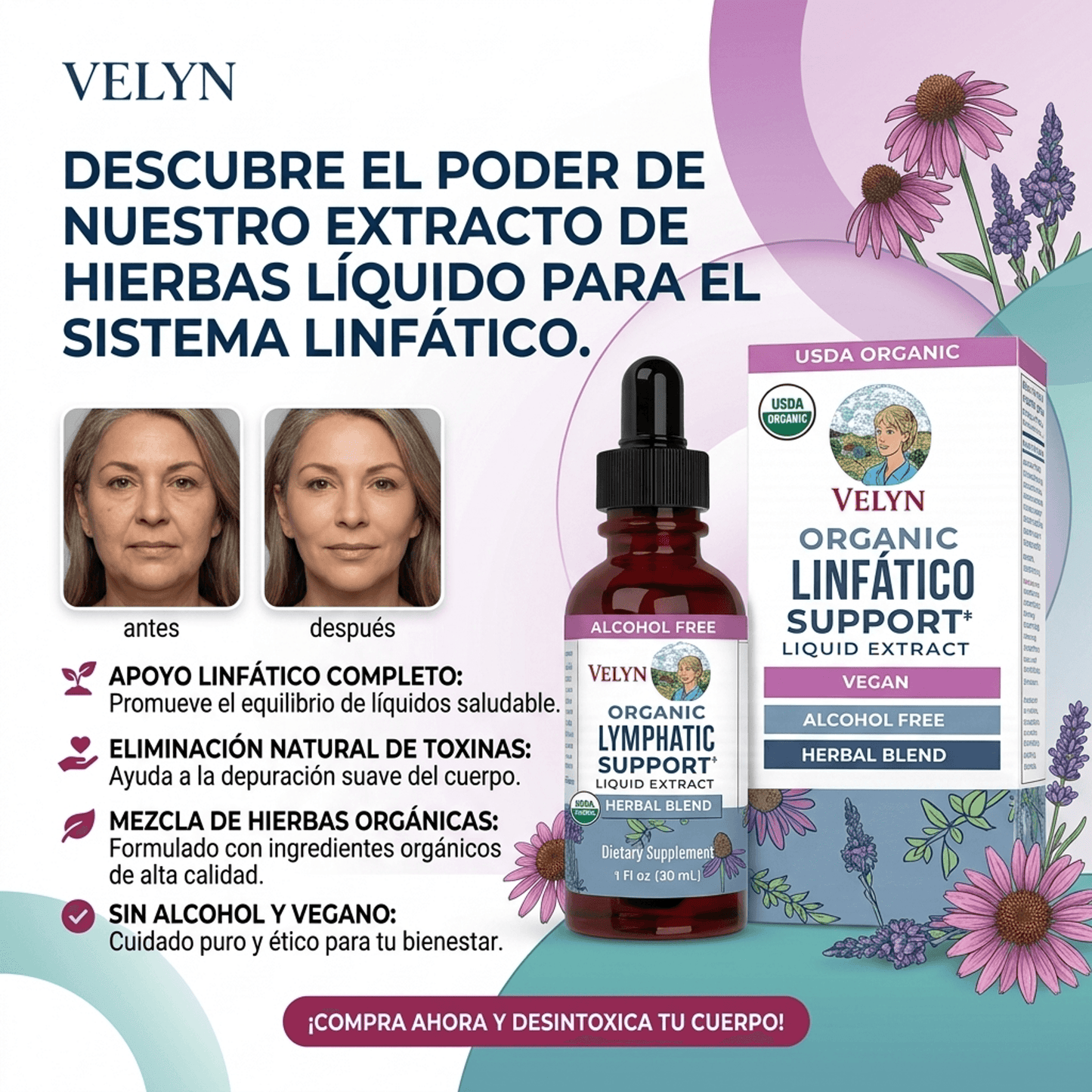 VELYN™ Gotas Detox 2x1 | Reduce Hinchazón + Efecto Ligero al Instante