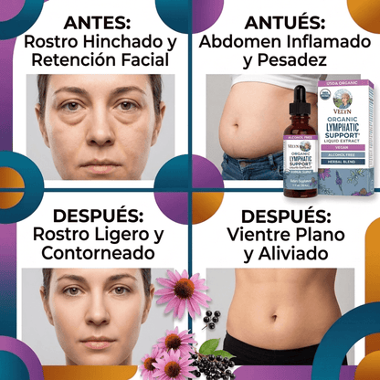 VELYN™ Gotas Detox 2x1 | Reduce Hinchazón + Efecto Ligero al Instante